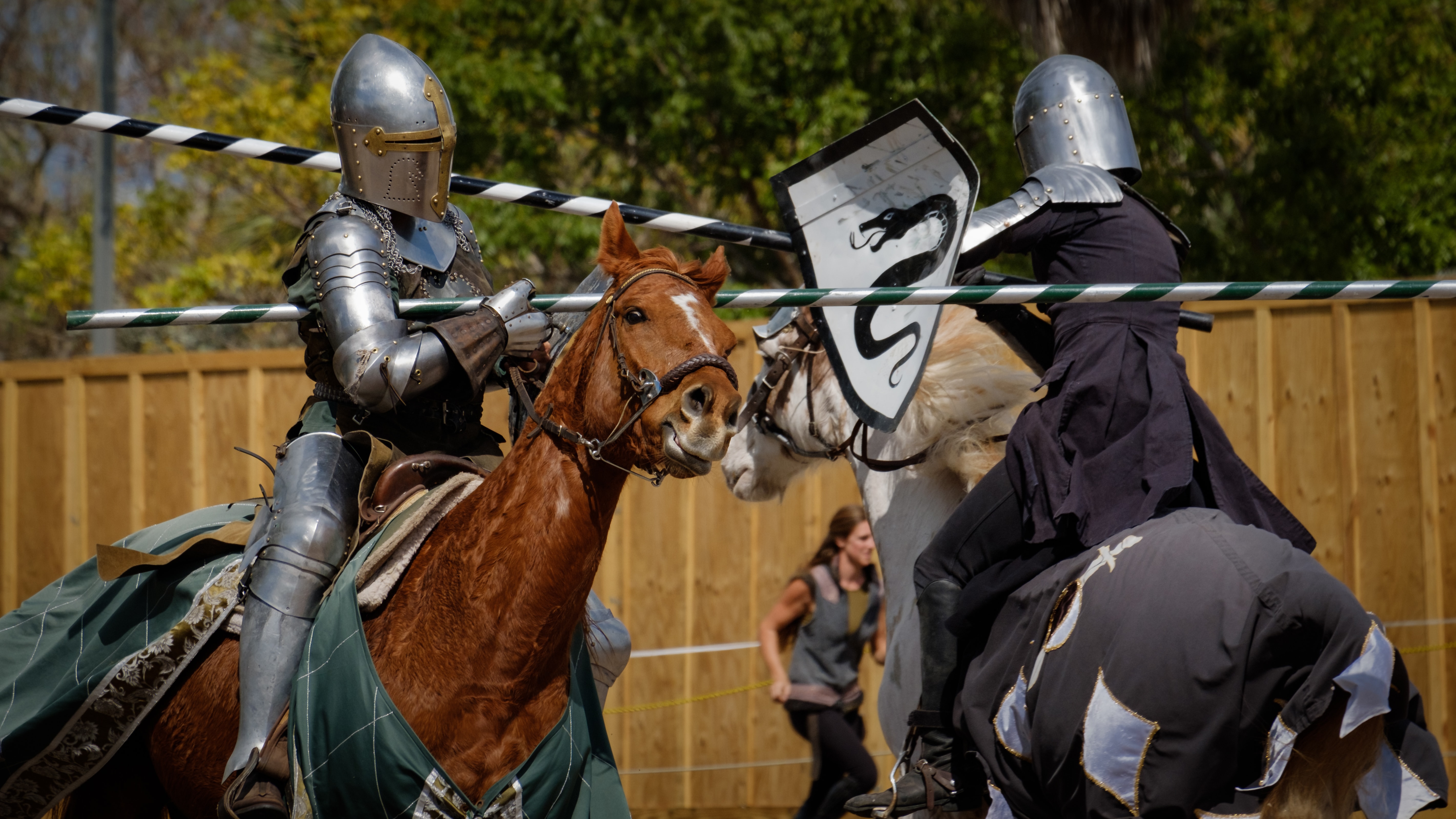 Florida Renaissance Festival Celebrates 26TH Season in 2018 2/10/18 3