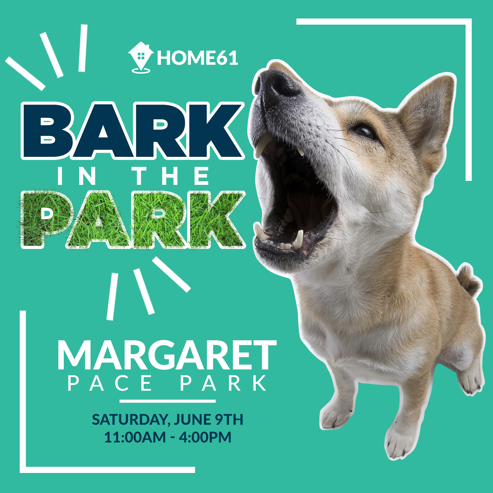 Bark in the Park 6/9/18 The Soul Of Miami