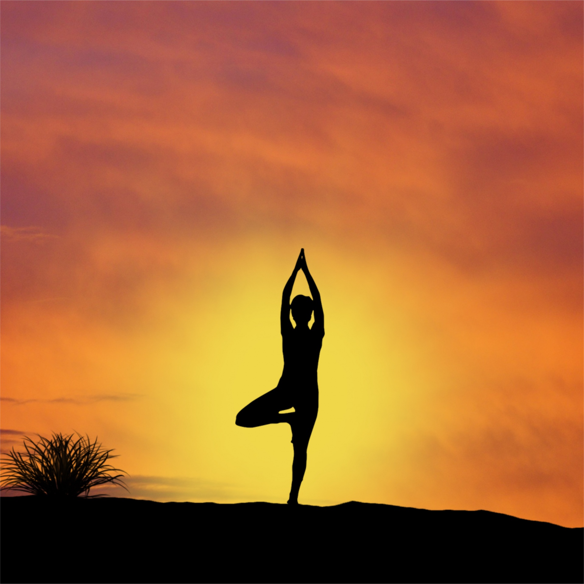 Yoga In Sunset Images, HD Pictures For Free Vectors Download - Lovepik.com