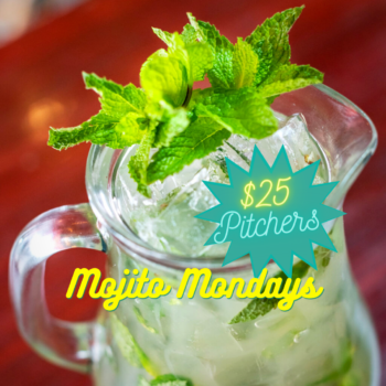 https://www.soulofmiami.org/wp-content/uploads/2022/03/mojitos-4-350x350.png